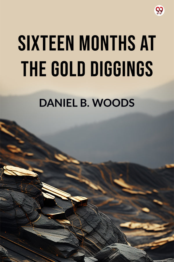 Sixteen Months At The Gold Diggings