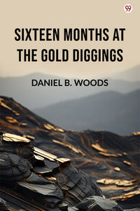 Sixteen Months At The Gold Diggings