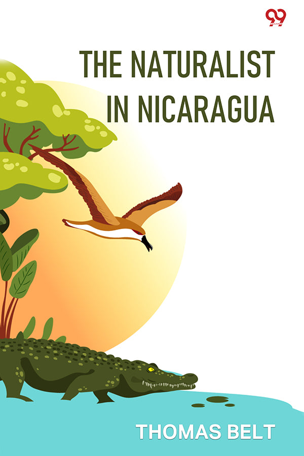 The Naturalist In Nicaragua