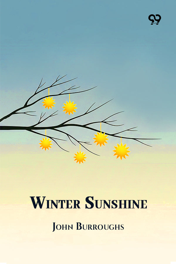 Winter Sunshine