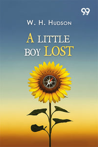 A Little Boy Lost
